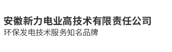 安徽新力电业高技术有限责任公司